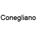 Pi&egrave;ces D&eacute;tach&eacute;es Nettoyeur vapeur Conegliano