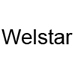 Pi&egrave;ces D&eacute;tach&eacute;es Nettoyeur vapeur Welstar